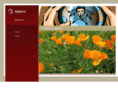 bigblend.com