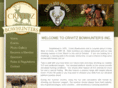 crivitzbowhuntersclub.com