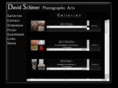 dlsart.com