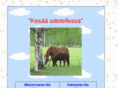 mieronvaara.net