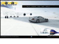ramangroup.net