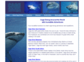 cagedive.com