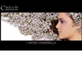 cinderellahaircastle.com