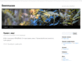 seennucas.com
