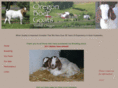 oregonboergoats.com