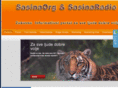 sasina.org