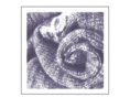 silverillusionsknits.com