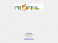 groupe-profex.com