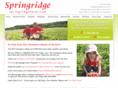 springridgefarm.com