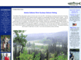 alaskacopperriversalmonfishing.com