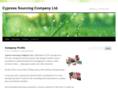 cypsourcing.com