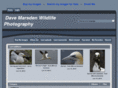 davemarsdenwildlifephotography.com