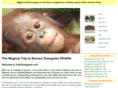 visitorangutan.com