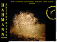 Feuerwerk-Hahmann-Enterprises.de