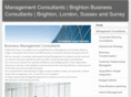 brightonbusinessconsultancy.com