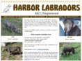 harborlabradors.com