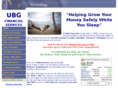 ubgfinancial.com