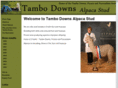 tambodowns.com