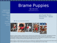 bramepuppies.com