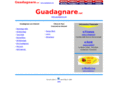 guadagnare.net