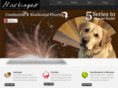 harbingerfloors.com