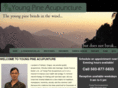 youngpineacupuncture.com