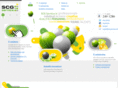 scg-service.com