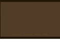 seedinteriors.com