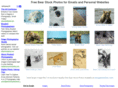 bearstockphotos.com