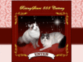 risingstarscattery.com
