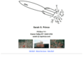 ssprince.com