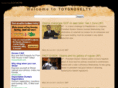 toysnovelty.com