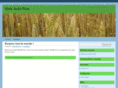 webautorun.com