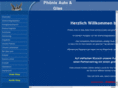 phoenix-auto-und-glas.de