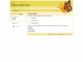 traveltrailerstore.com