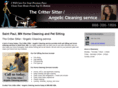 angeliccleaningservice.com