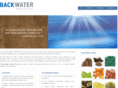 backwaterimpex.com