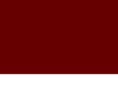 ortho-synth-19.com