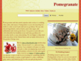 pomegranate-cafe.com