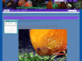 aircapitalaquariumclub.com