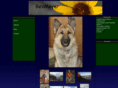 benmeyermontana.com