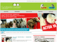 fundacionluca.org