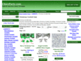 merrychristmasconfetti.com