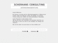 scherhans-consulting.com