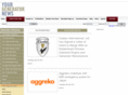 yourgeneratornews.com