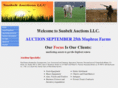 sunbeltauctions.com