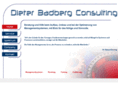 badberg-consulting.com