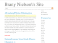 brandynielson.com