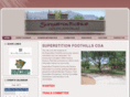sfcoa.org