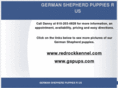 germanshepherdpuppiesrus.com